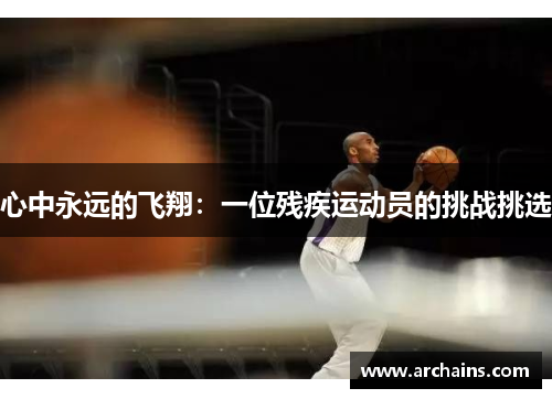 心中永远的飞翔：一位残疾运动员的挑战挑选